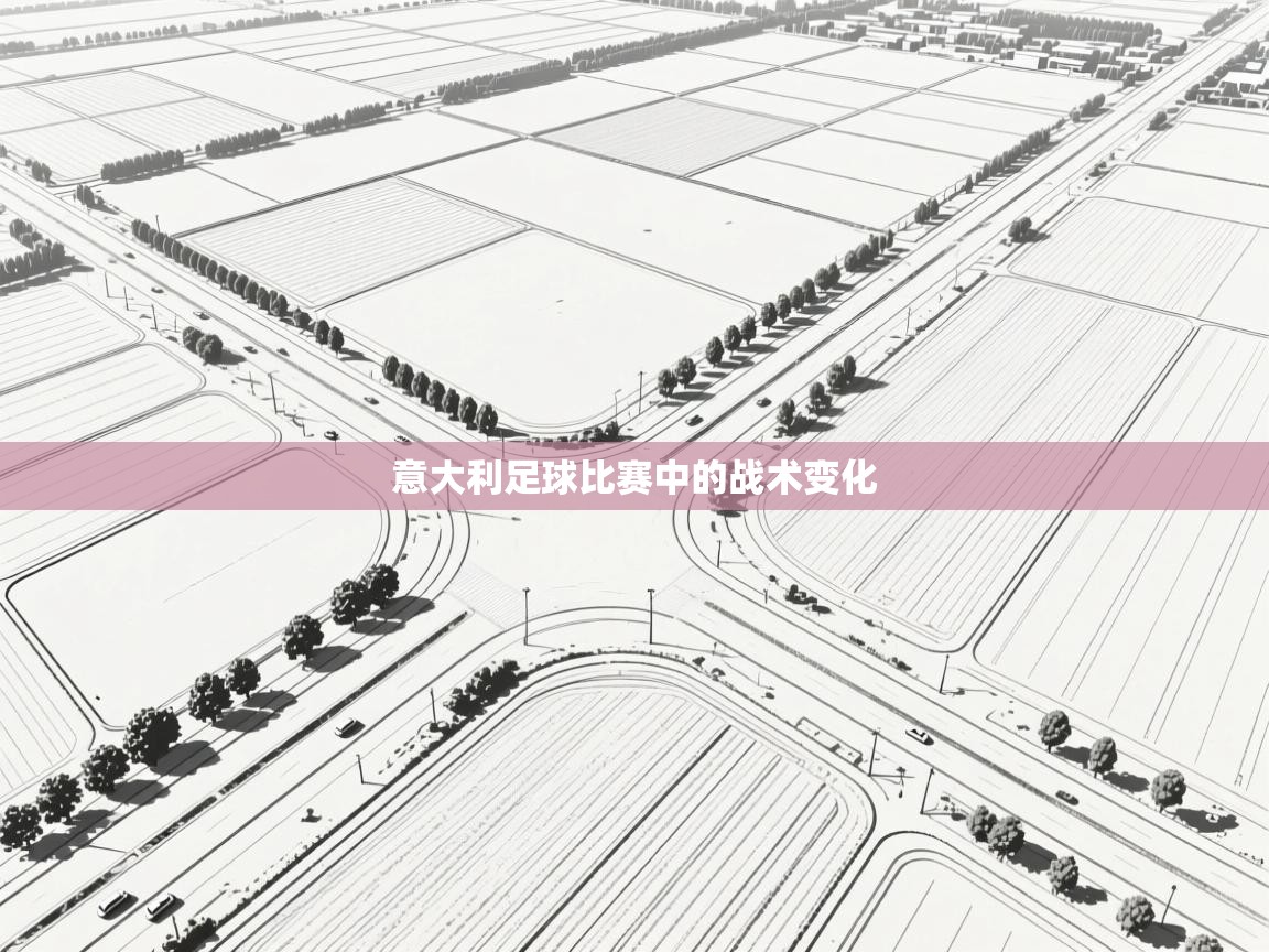 意大利足球比赛中的战术变化 第1张