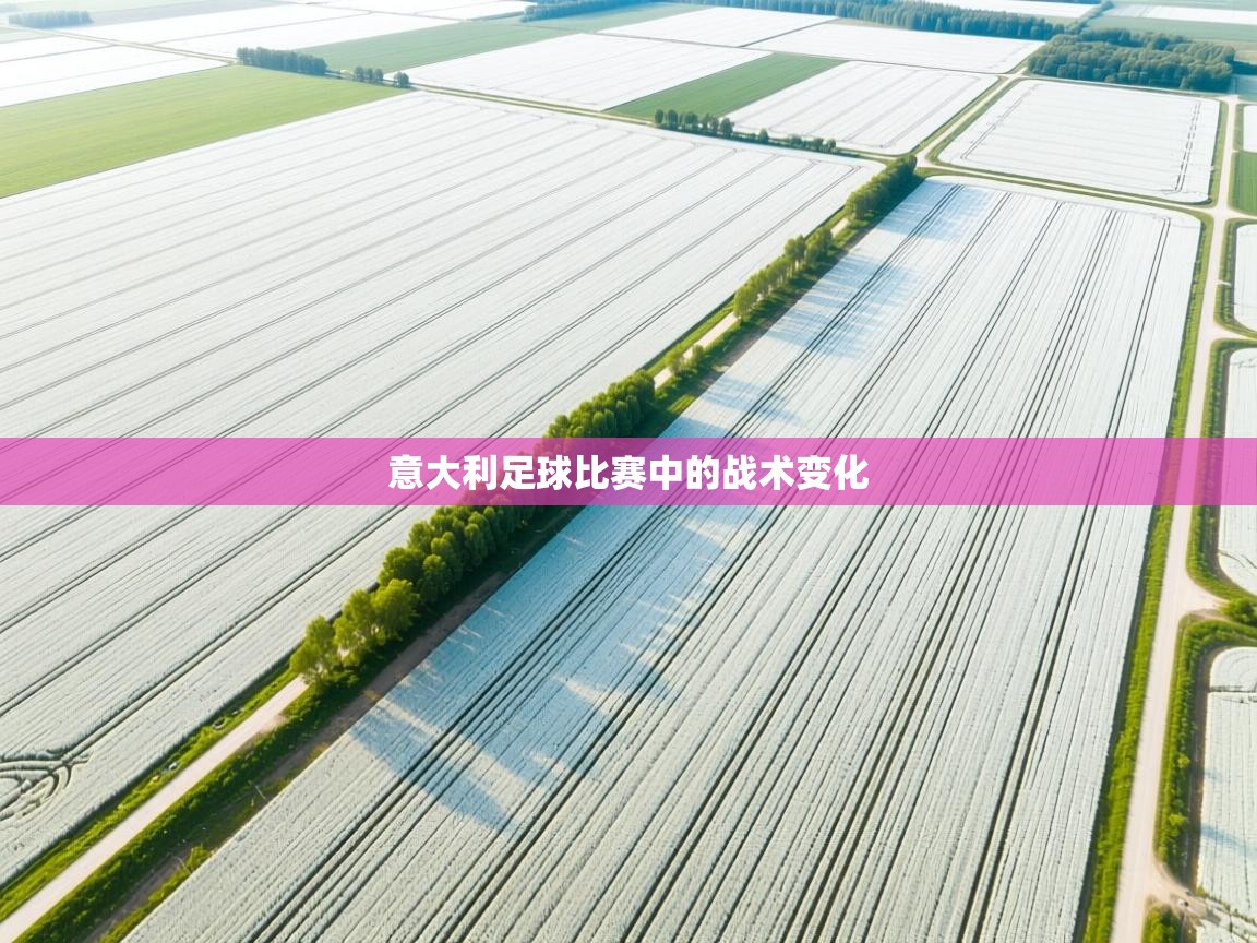 意大利足球比赛中的战术变化 第2张