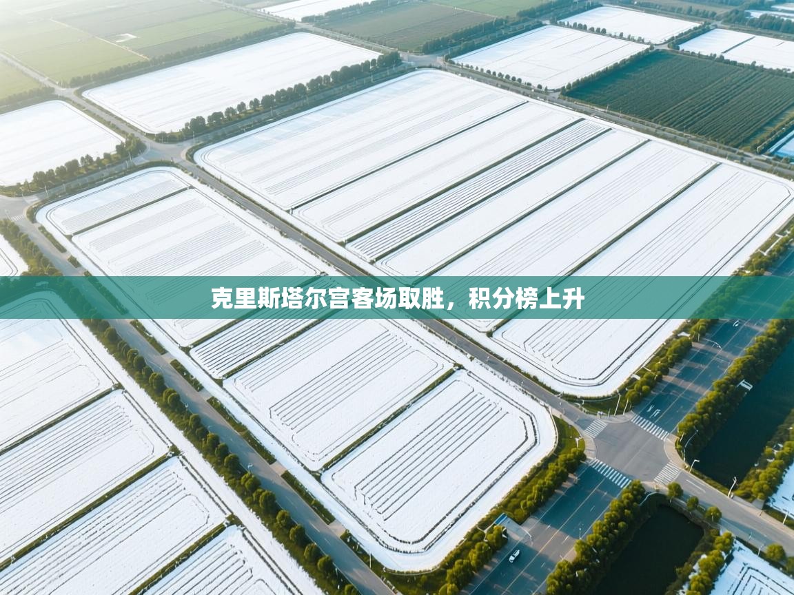 克里斯塔尔宫客场取胜，积分榜上升  第1张