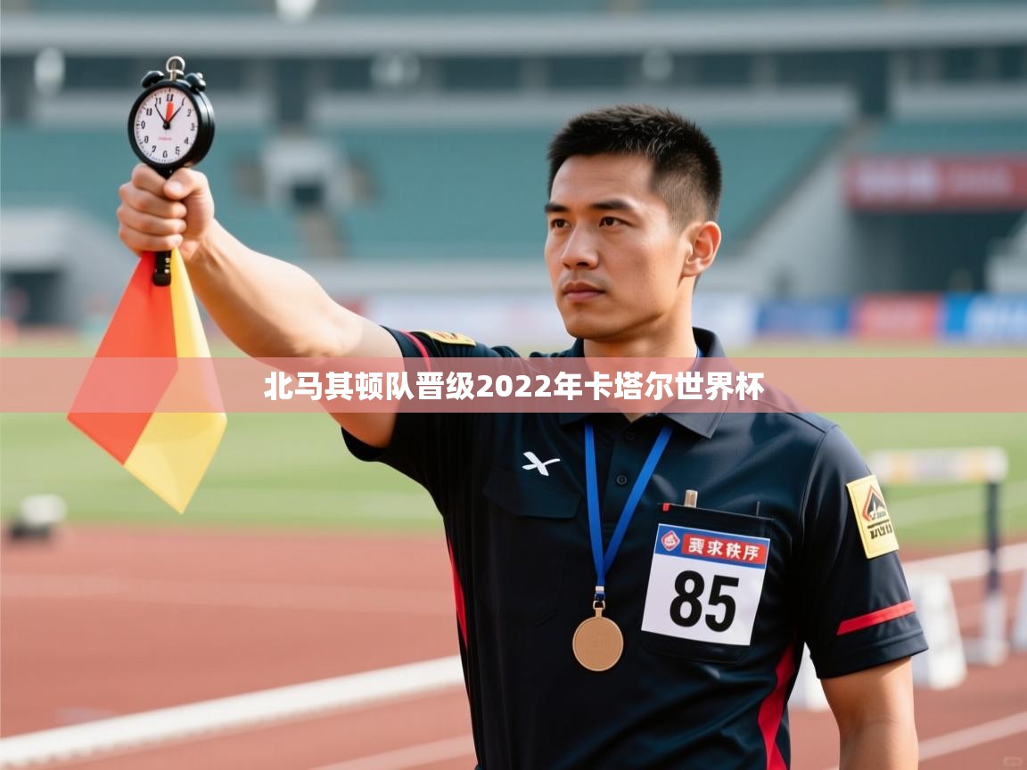 北马其顿队晋级2022年卡塔尔世界杯  第1张