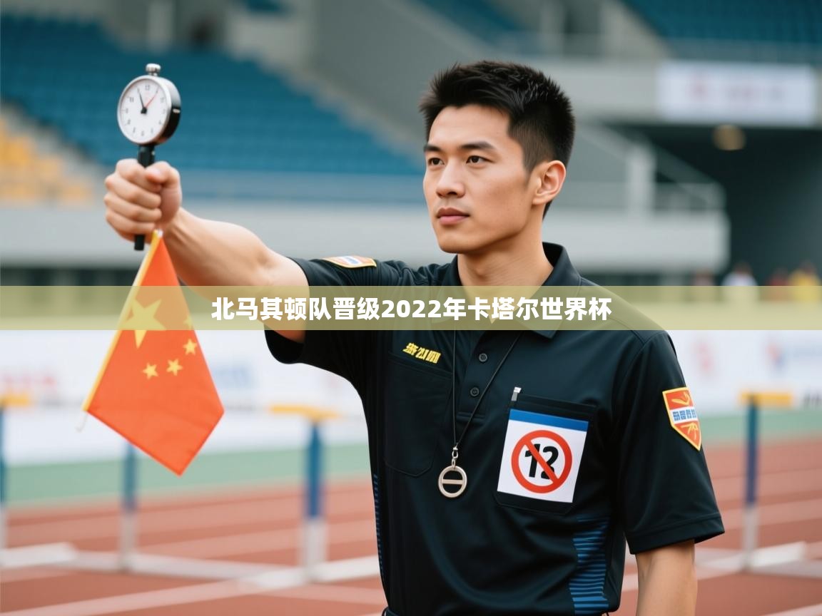 北马其顿队晋级2022年卡塔尔世界杯  第2张