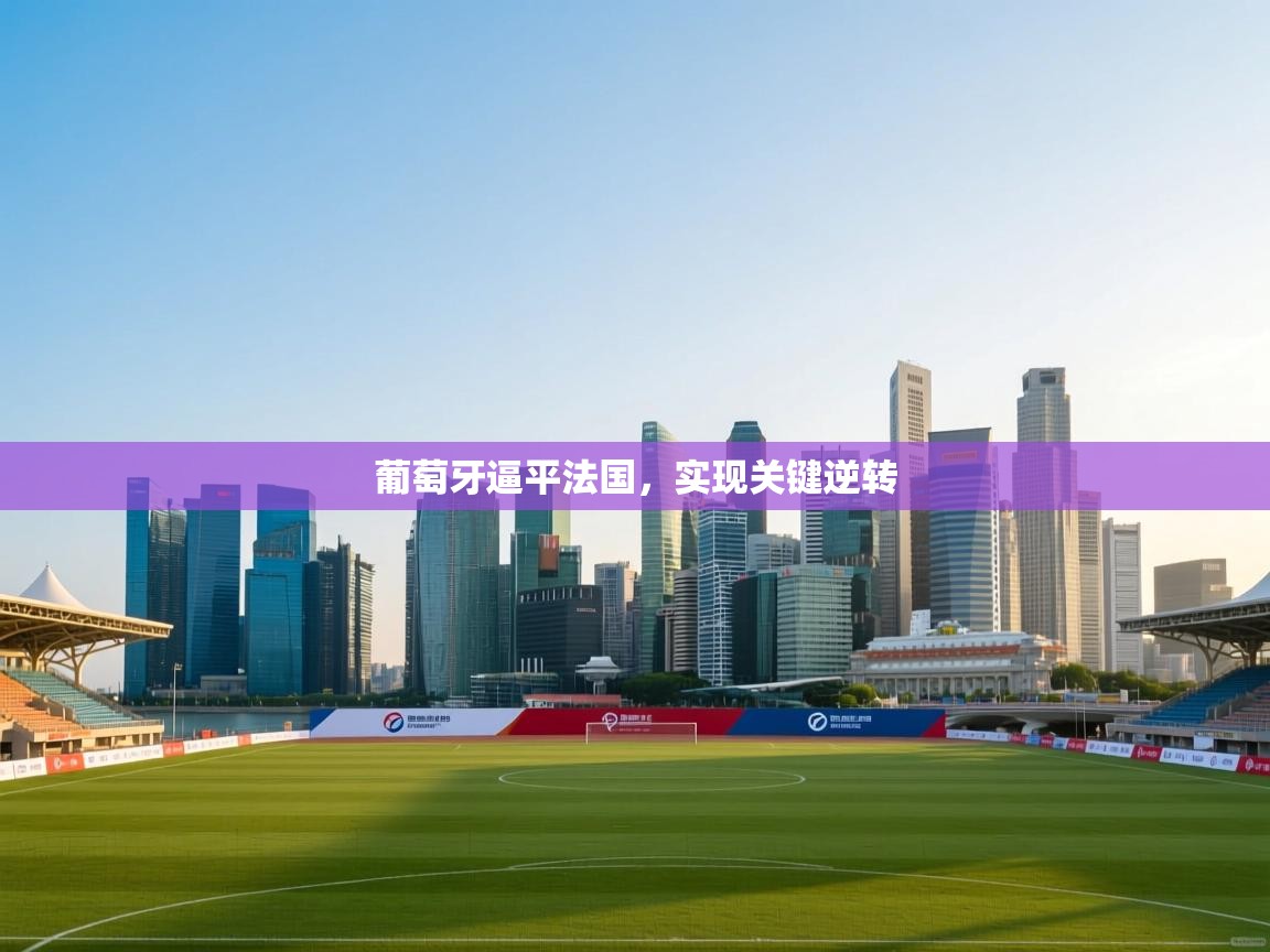 葡萄牙逼平法国，实现关键逆转  第1张