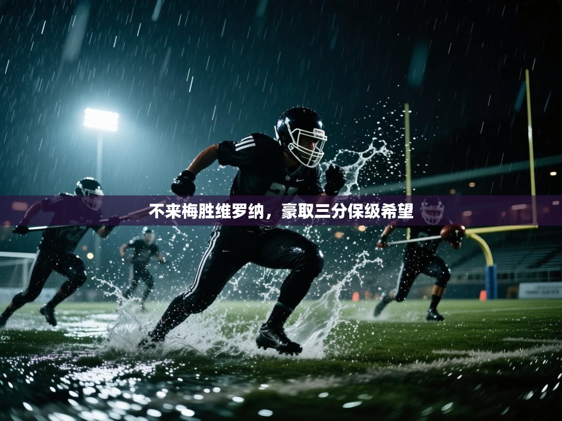 不来梅胜维罗纳,豪取三分保级希望 第1张